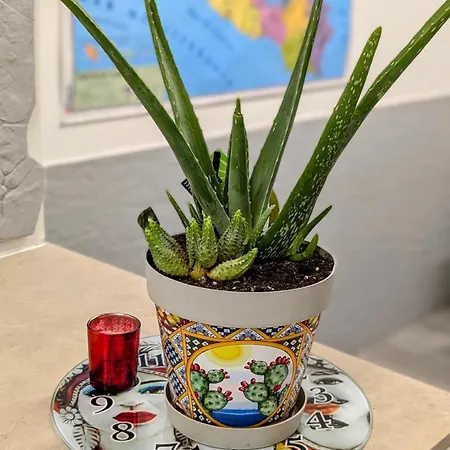 Apartmán Tiny Beautiful Thing Ragusa