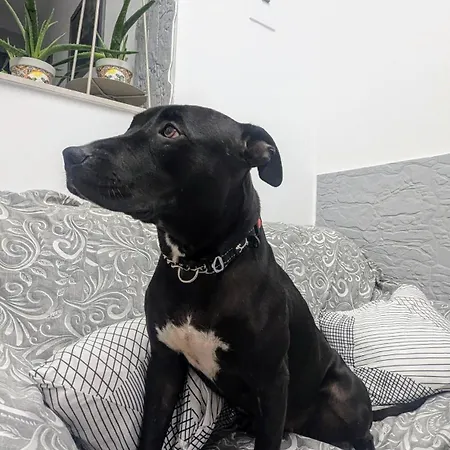 Tiny Beautiful Thing Ragusa