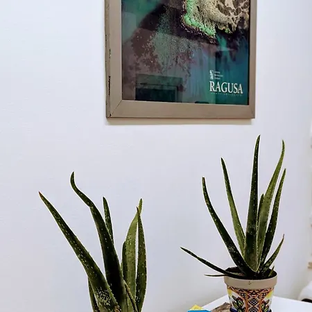 Apartment Tiny Beautiful Thing Ragusa